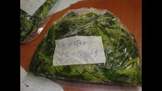 Σπανάκι στον καταψύκτη - Spinach in the freezer  // Stella LoveCook