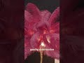 Ostrich Feather LED Floor Lamp