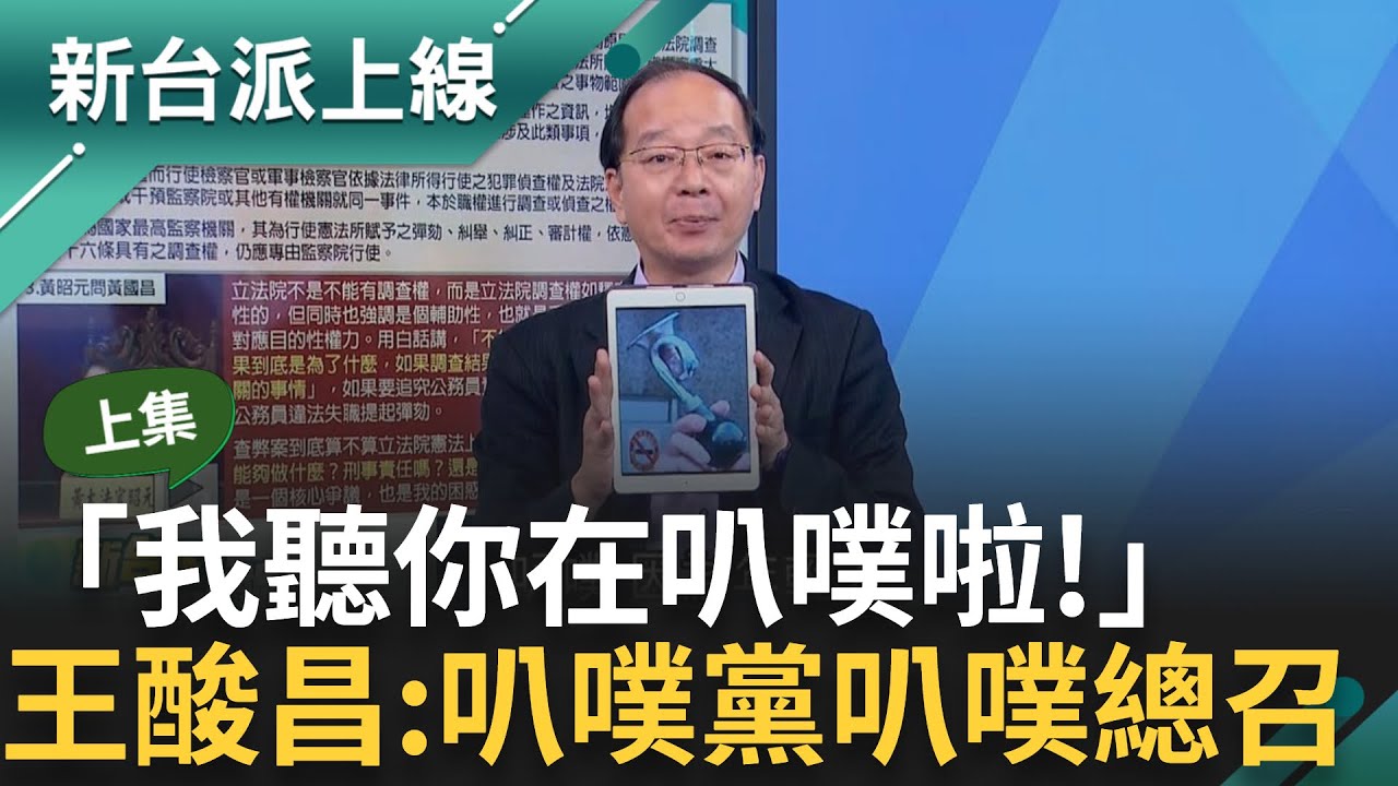 【上集】「黃國昌是台灣叭噗黨的叭噗總召」王瑞德酸昌專業術語只剩叭噗 曝黃國昌天敵不是大法官是「太陽黑子」:因為會干擾他直播｜李正皓  主持｜【新台派上線】20240808｜三立新聞台
