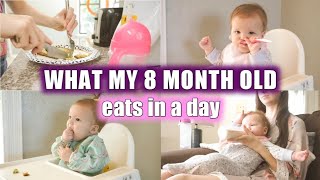 WHAT MY BABY EATS IN A DAY | 8 MONTHS OLD | Erika Ann