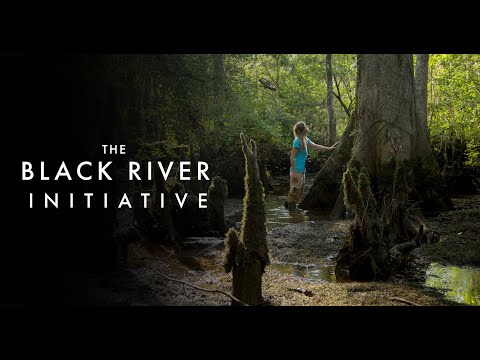 A Vision for South Carolina's Black River