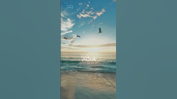 سورة البقرة - جزء من الآية ٢١٦ | القارئ: مشاري العفاسي #قرآن #قران #quran_alkarim #alquran