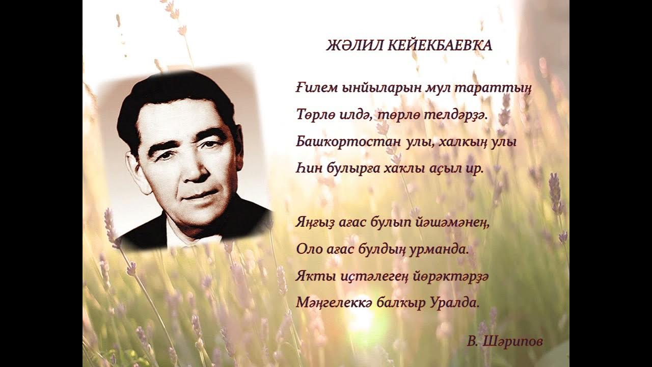 Башкирские языковеды. День башкирского языка профессора языковеды. башкирские ученые.