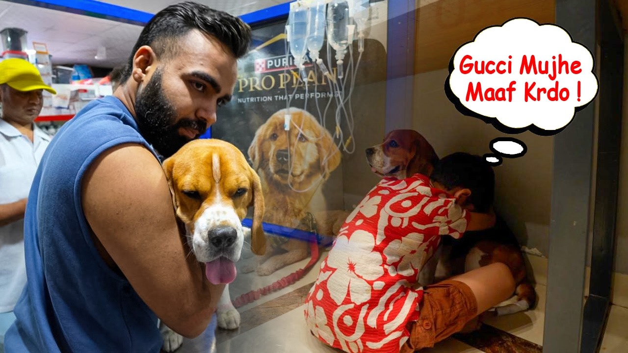 Gucci ki Pooch Cut Karni Padi | Kanha ko Bohot Regret ho raha hai 🥺