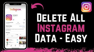 How To Delete All Instagram Data