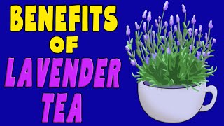 LAVENDER TEA- Top 10 Reasons Why it's the Best Tea Out There
