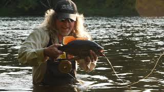 Ed Ward and Dave Pinczkowski:  "Just Bassin'"
