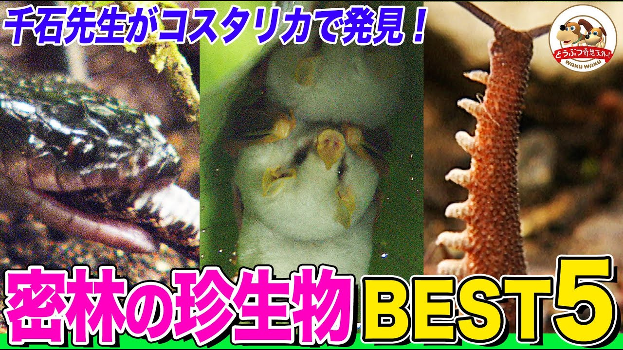 Country that Professor Sengoku wants to visit No. 1] Ranking of