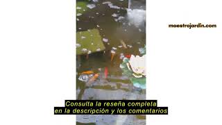 Reseña del Blagdon 1054645 Paja de Cebada de Estanque Mini Bale