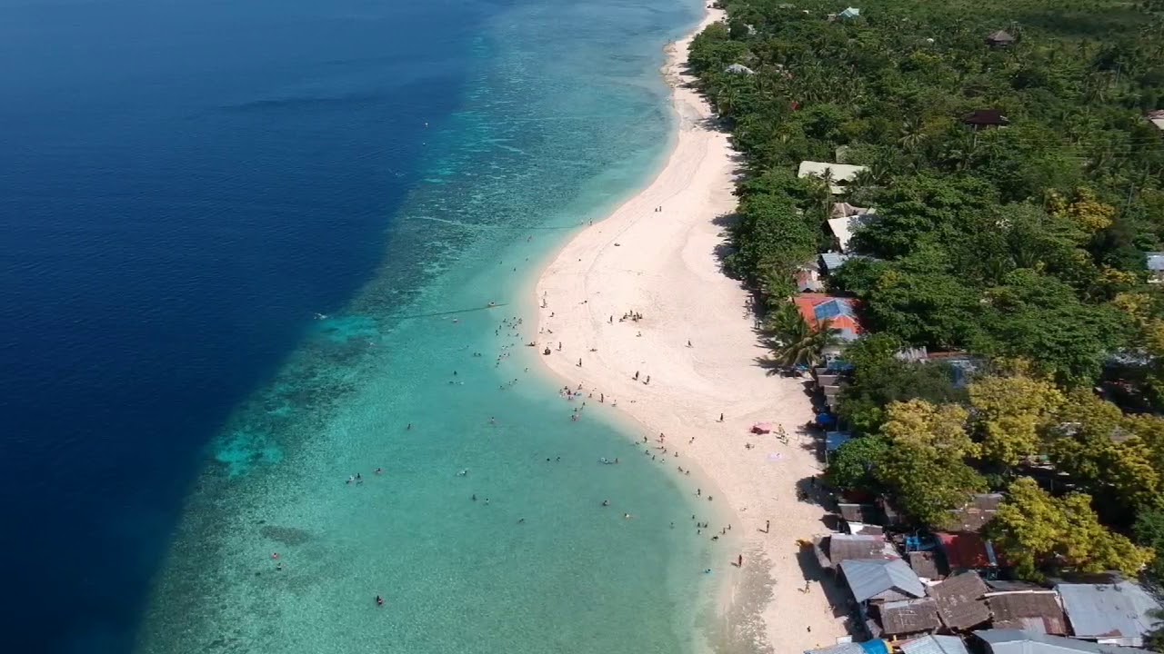 Moalboal White Beach/Basdako Cebu Philippines - YouTube