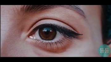 Openai Sora video, chatgpt