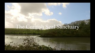 The Cornish Seal Sanctuary Documentary