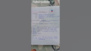 phylum mollusca,/ Chaetoderma, invertebrates file work zoology practical file,M.sc