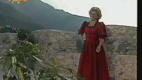 Maria Hellwig - Erzherzog-Johann...  (1989)