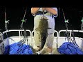 Fishing on the Lake with Big Catfish Caught!