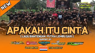 DJ BANTENGAN !! PUTRA LEMBU SARI (APAKAH ITU CINTA)