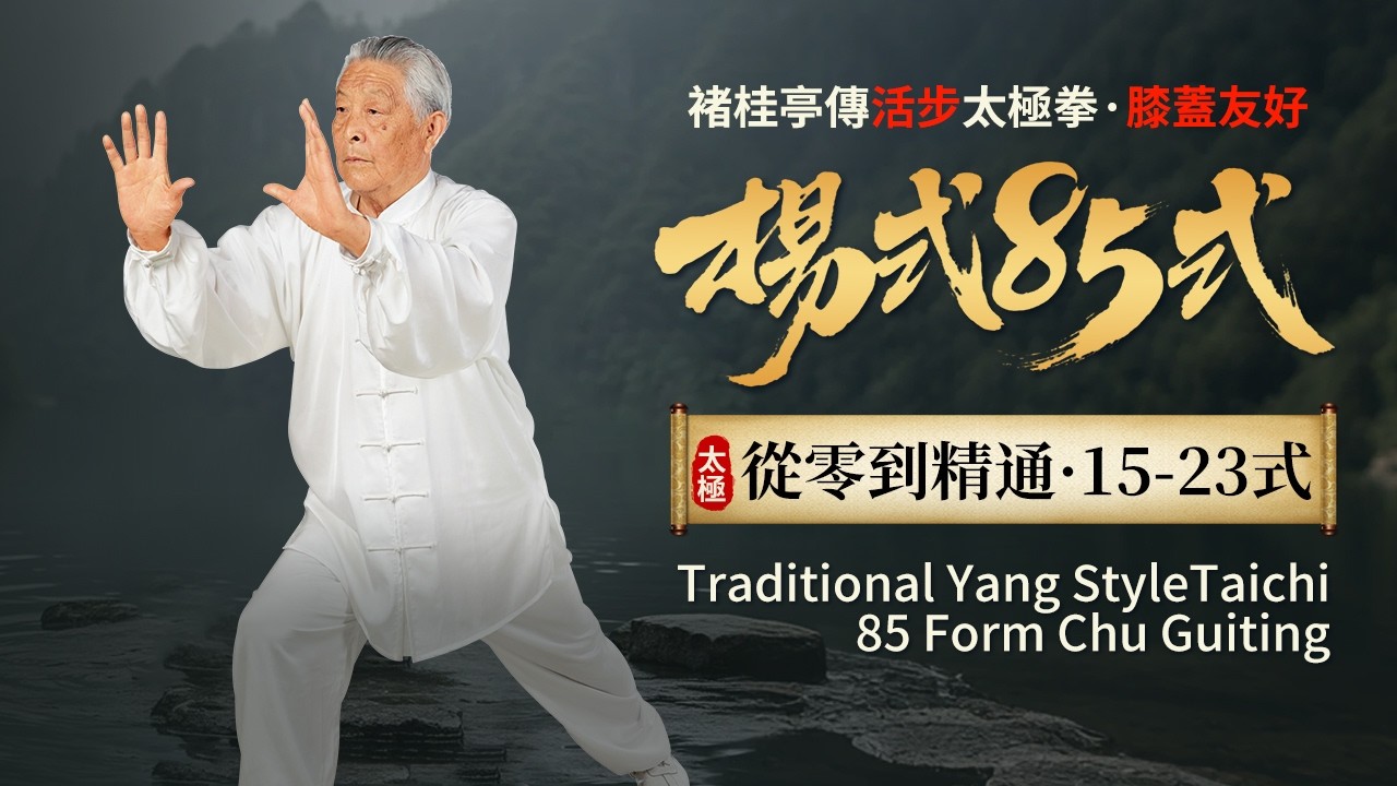 楊式太極傳統85式拳15-23式教學【褚派活步太極拳·膝蓋友好】 #taichi