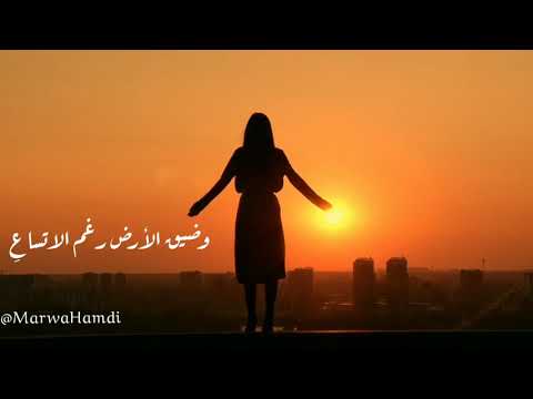 أكاد أجن من فرط اندفاعي وضيق الأرض رغم الاتساع 