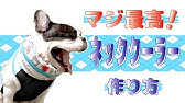犬用クールネックの作り方 フレブル用型紙付き オリジナル犬服diy Youtube