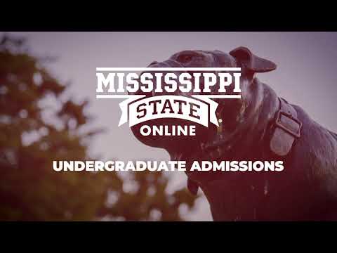 Undergraduate Admissions Process | MSU Online