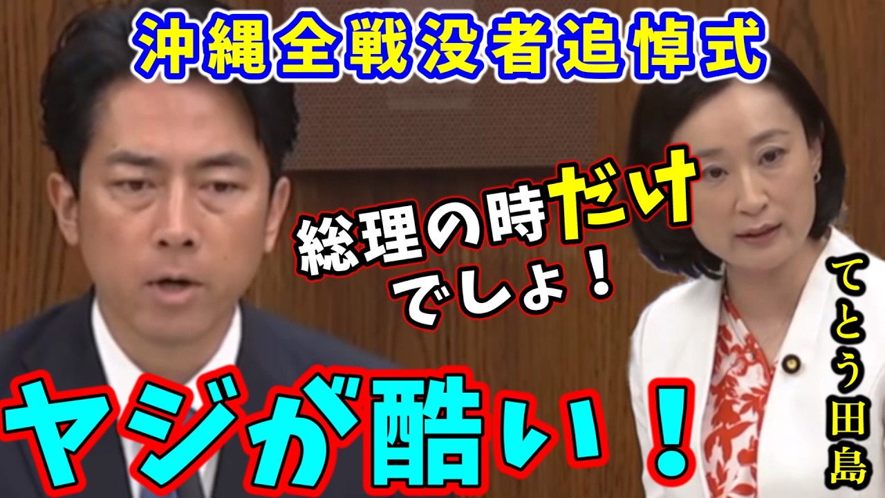進次郎 vs てとう田島 沖縄追悼式でのヤジを養護、抑止力へのイチャモンを完全論破