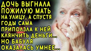 Помог Бездомной, А Спустя Годы Она Продала Его Все Имущество И Сама….