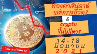 วิเคราะห์ ทองคำ forex bitcoin ทองคำสัปดาห์ชี้วัด?  btcขึ้นไม่ไหว? |  อาทิตย์ที่ 14-18 มิถุนายน EP 45