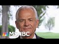 Peter Navarro On How Much Convalescent Plasma Helps | Andrea Mitchell | MSNBC