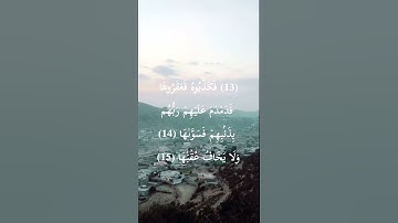 حسين آل الشيخ - تلاوة هاديه