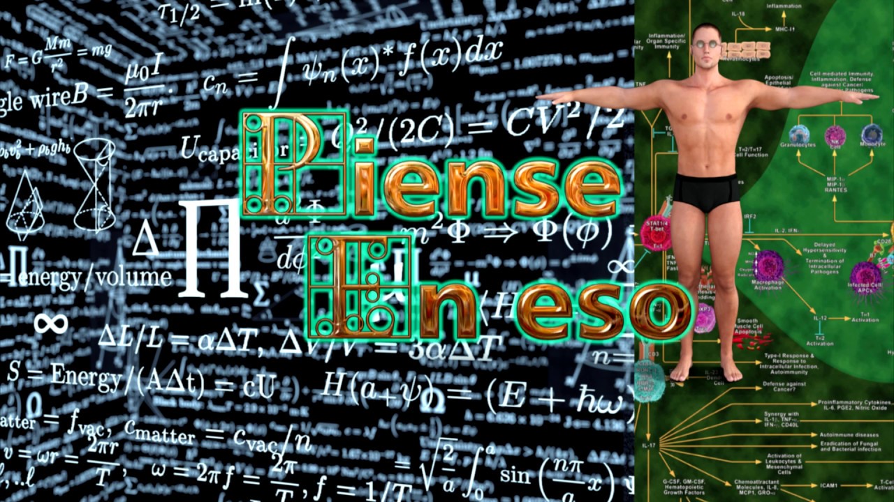 Vídeo: 