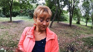 ЧТО ЖЕ СЛУЧИЛОСЬ? Максим,топор,полиция.../Приют для собак/Дача ЧТО ЖЕ СЛУЧИЛОСЬ? Максим,топор,полиция.../Приют для собак/Дача