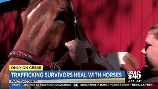 Equine therapy helping sex trafficking victims