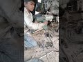 #live #youtubevideos #automobile mechanics 👨🔧👆