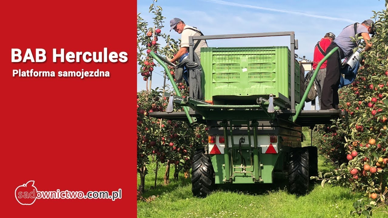BAB Hercules 255 - podczas zbiorów jabłek - INSAD-Prusy