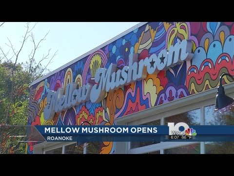 Mellow Mushroom opens in Roanoke