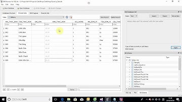 Display image picture  from database to report SQLite