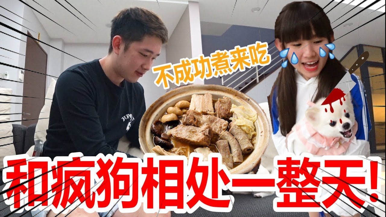 跟疯狗培养感情一整天!!!不成功就把它直接煮来吃......