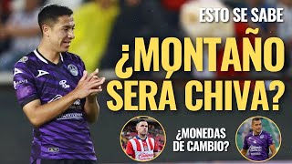 🚨 ¡REFUERZOS CHIVAS: ¿Andrés MONTAÑO puede LLEGAR de Mazatlán? Esto SE SABE del CASO! 🚨