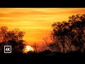 Beautiful Sunrise & The Trees | Unedited | taken with panasonic 100-300mm lens, Indonesia