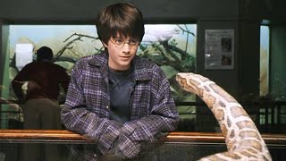 طفل عنده قدرات سحرية بتخليه يطير ويقدر يتكلم مع الحيوانات والثعابين Harry Potter