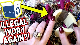 Is It Illegal? Goodwill Blue Box Jewelry Unboxing 2024 | Jewelry Jar Haul to Resell on Ebay