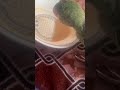 #parrot