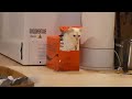 kitty hide and seek