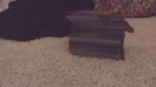 Quick And Easy Guide For Building Magic Decks , For Beginners