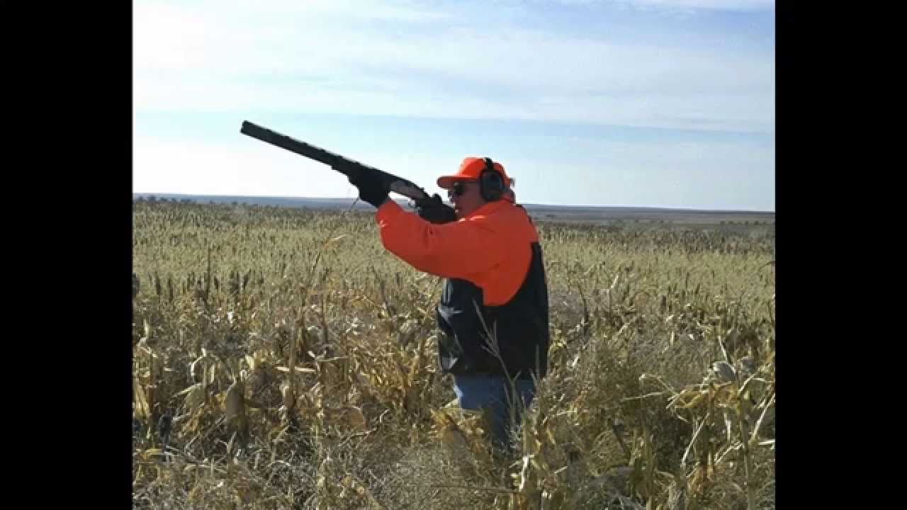 Politics Talk: Hunting Laws 