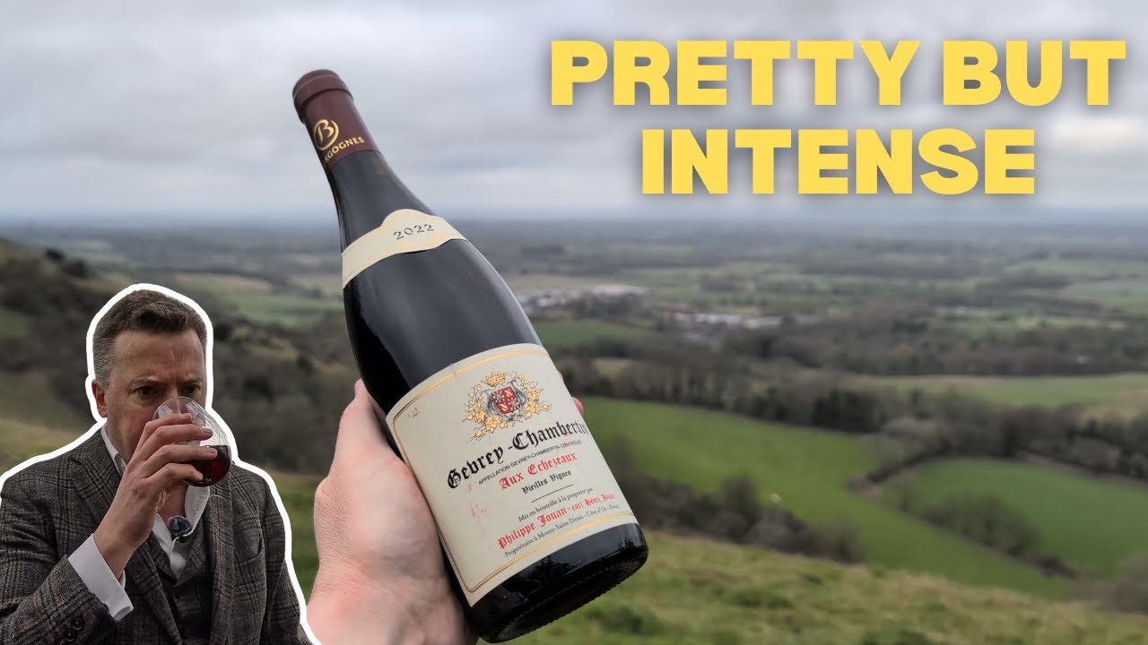 Philippe Jouan Gevrey Chambertin Aux Echezeaux 2022 - YouTube
