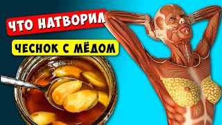 Пила ЧЕСНОК с МЁДОМ по утрам и вот Что произошло с моим Телом...