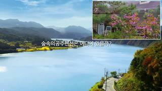 아름다운 여행지 가평 남이섬펜션 숲속의공주펜션