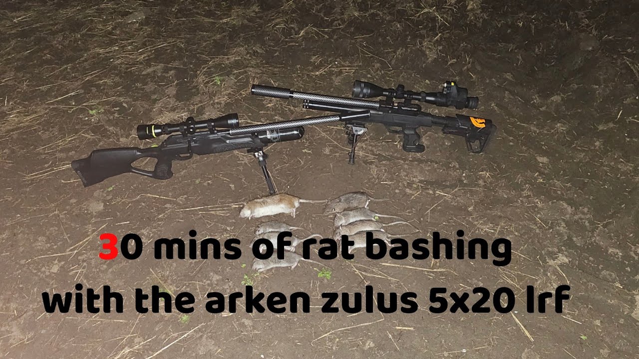 30 mins of rat bashing #pestcontrol #pestsolutions - YouTube