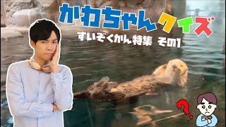 いろんな魚のクイズ